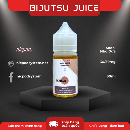 Bijutsu Juice Soda Nho Dua